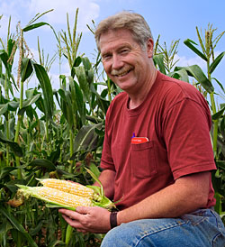 Photo: Picking Corn.